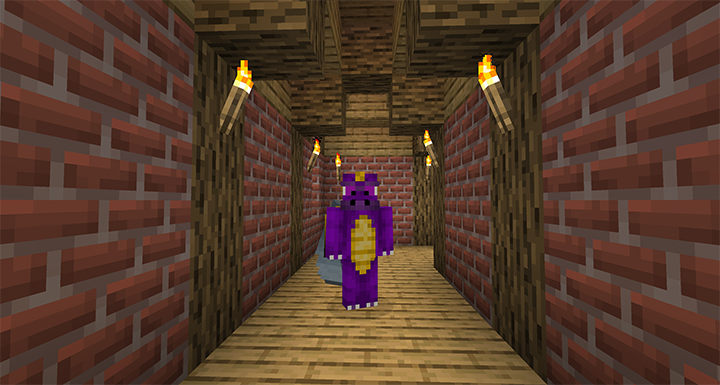Me in an empty Minecraft house